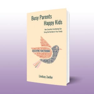 Busy Parents, Happy Kids, a book about executive functioning